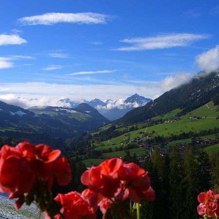Kaiserhof ألباخ المظهر الخارجي الصورة